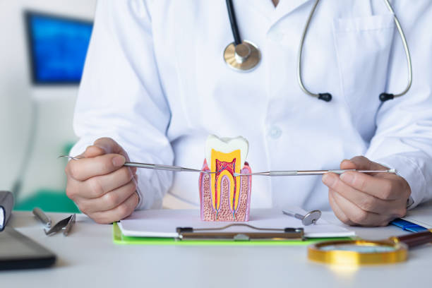 Best Emergency Dental Services for Seniors in Greenville, RI